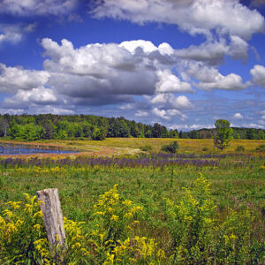 Photo of Erie Wildlife Refuge, showing sky, field, and water